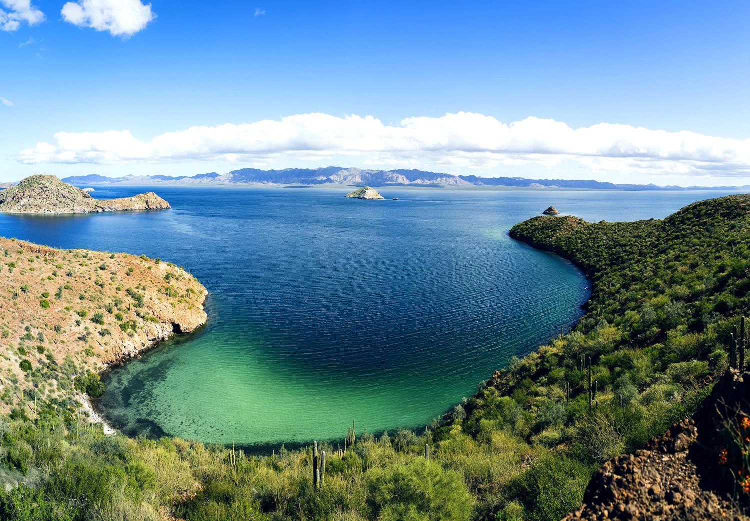 mulege.jpg