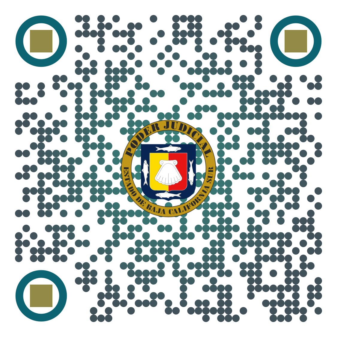 Código QR de registro